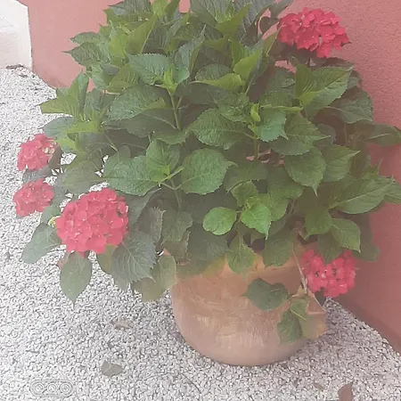 Un Coin De Paradis Séjour chez l'habitant Saint-Cyr-sur-Mer
